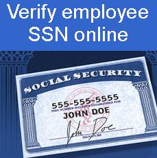 Verify employee SSN online